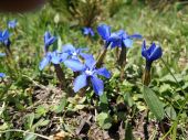 Zakopane -13